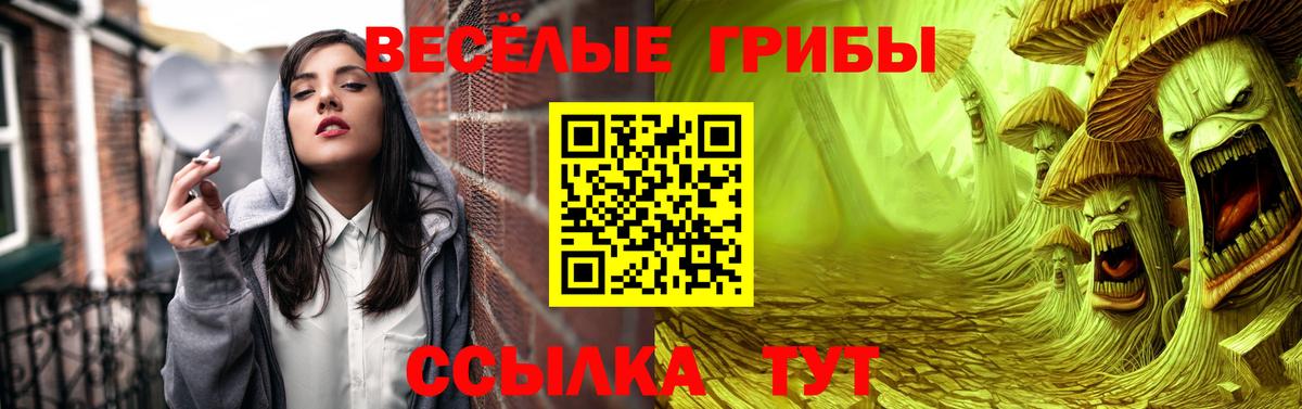 Галлюциногенные грибы ЛСД  Вход с VPN  Псилоцибиновые грибы ЛСД  Батайск 